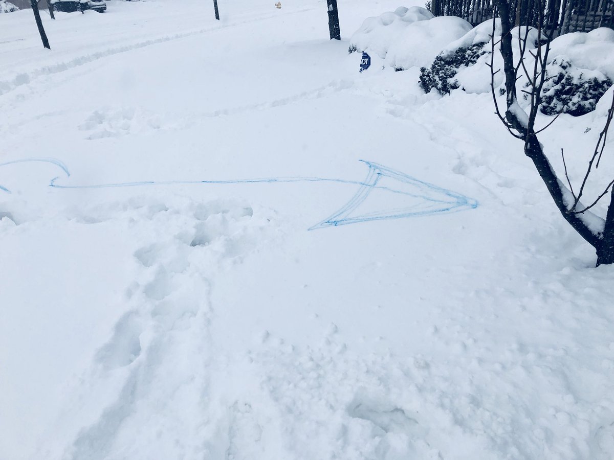 vgib1975's tweet photo. @amazon #snow#wantmybuddytofindthedoor#wantmystuff# https://t.co/nxNxL9aTR7