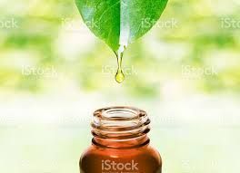 WAVetBillAssist's tweet photo. Do u love essential oils & pets? unsure about the oils effects on pets? Check out this info packed special #onlineclass avail for 5 days to learn more about this topic with vet Dr Roark. Check it on FB - #Essentialoil vet NOW! #petcare #pets #PVBA #anipals #furbabies #twitter https://t.co/djKIB0jWJb