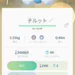 ポケモンgoで チルタリス が話題に ポケgo トレンディソーシャルゲームス ポケモンgoで チルタリス が話題に ポケgo トレンディソーシャルゲームス