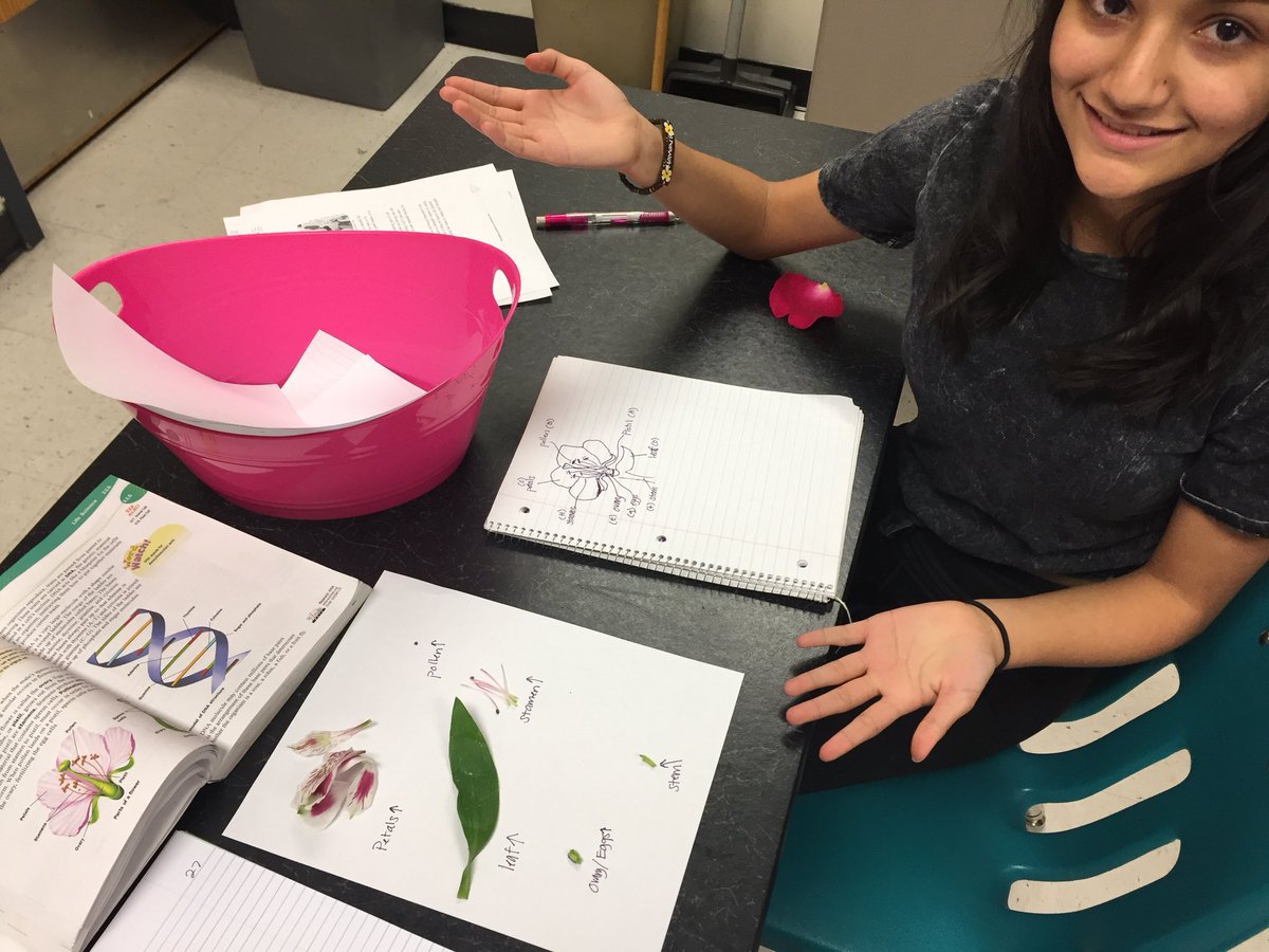 CarmodyMiddle's tweet photo. Teachers @CarmodyMiddle creating learning spaces that connect hands on learning to the curriculum.  How can we grow food on Mars? How do you cultivate basil to become lemon basil?   #learning #authentictask #innovation #jeffcoschools #mrsprice https://t.co/T3PMn0Hun2
