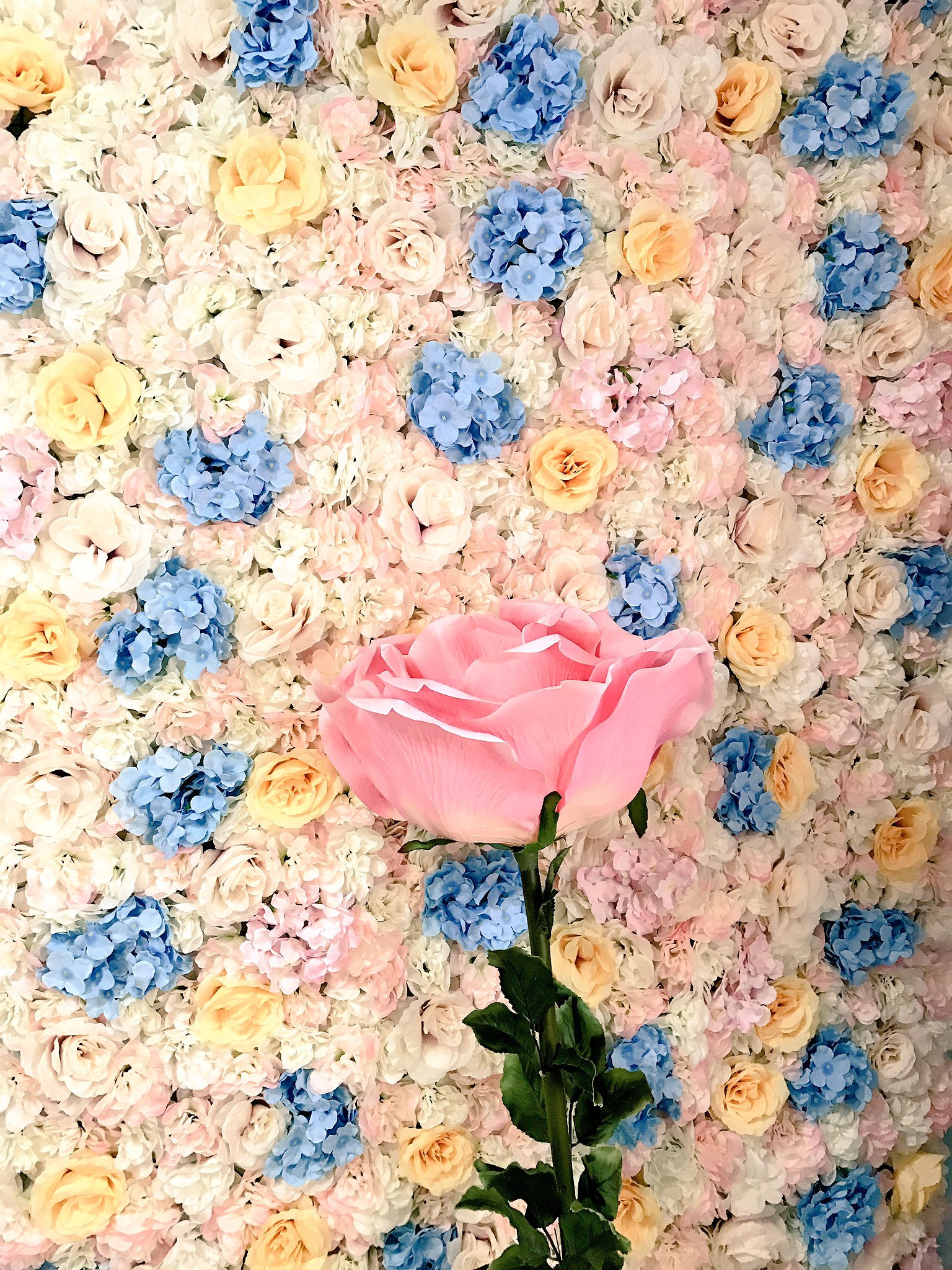 花壁 Twitter Search Twitter