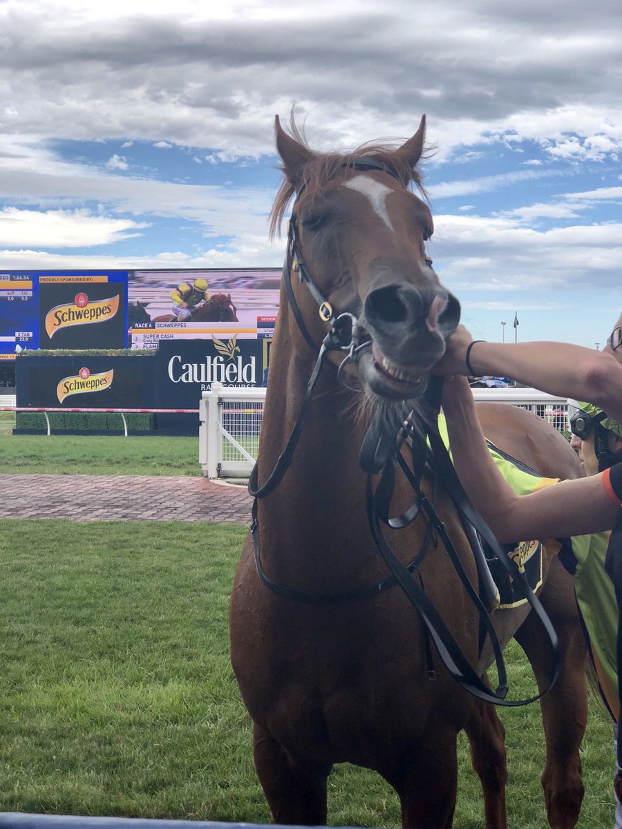 Contract Racing tweet media