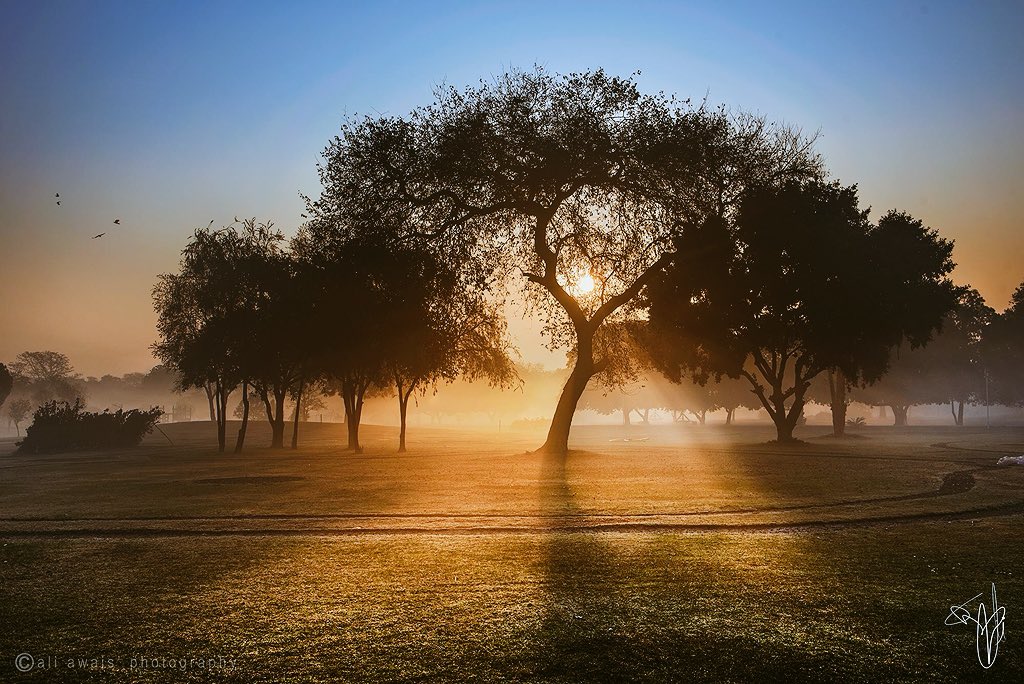 Magical #sunrise at Model Town #Lahore 
PC: Ali Awais
#BeautifulPakistan #beautiful #landscapephotography