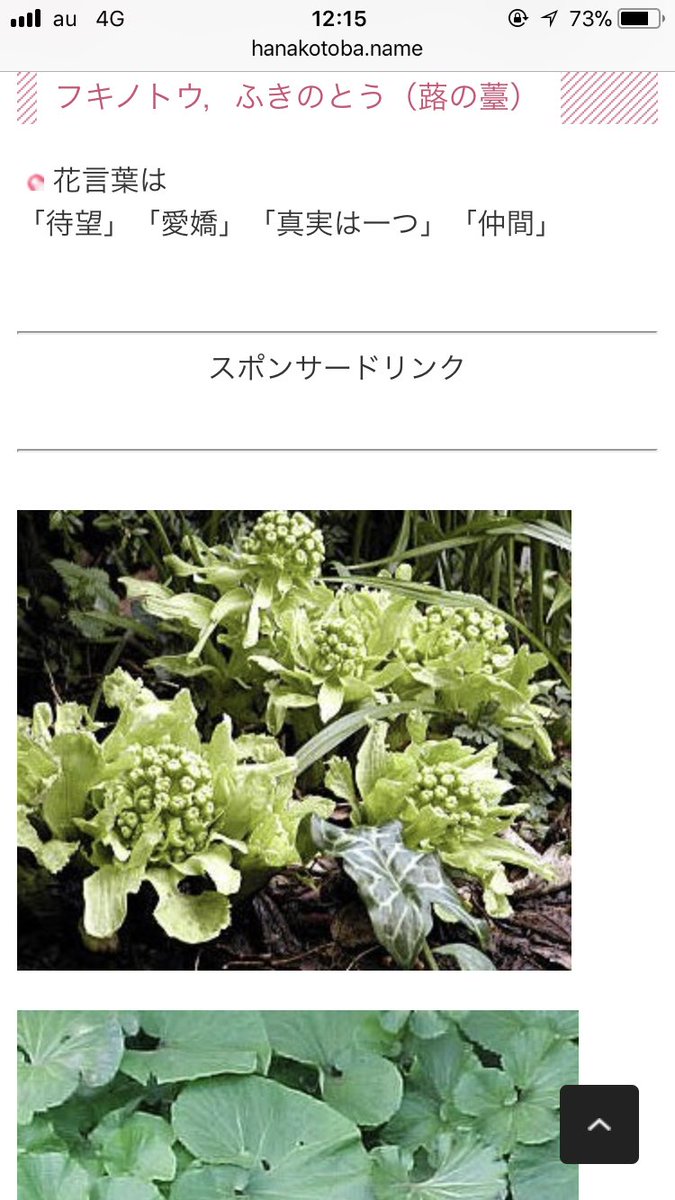 そらまる𓃟 純黒の悪夢の上映開始が2 10 2 10はふきのとうの日 ふきのとうの花言葉は真実は一つ たまたまですか 名探偵コナン 純黒の悪夢