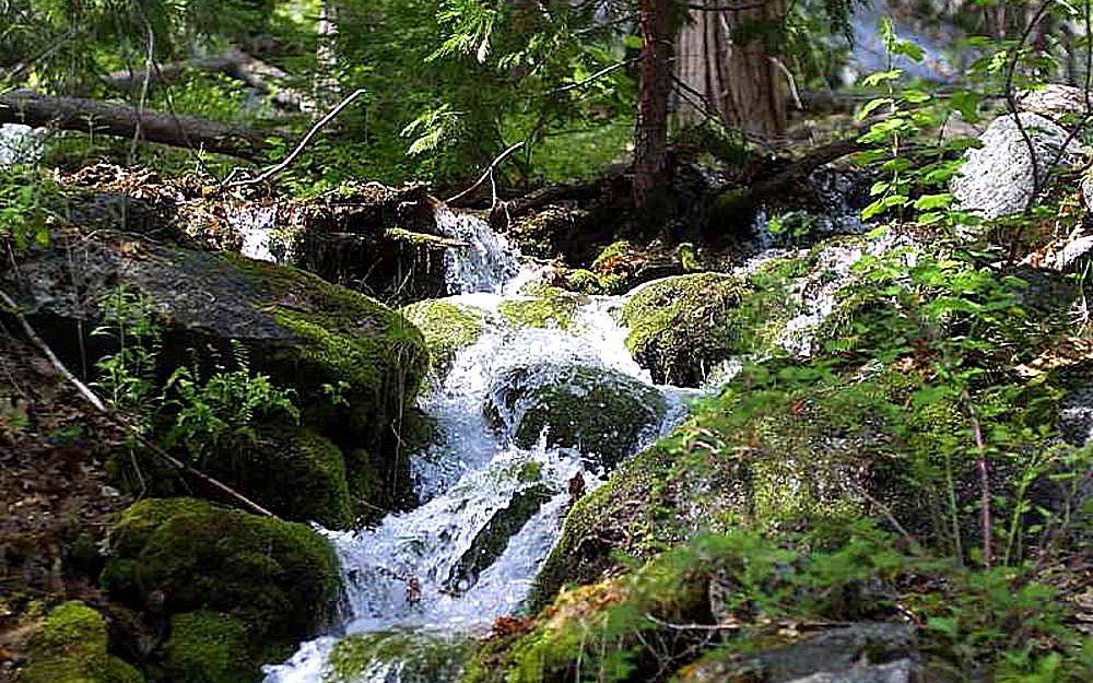 mickknutson's tweet image. Reactive Streams in Java 9: The release of Java Development Kit (JDK) 9 in September of last year brought with it many improvements to both the Java Virtual Machine (JVM) and the Java Language… bit.ly/2EU7zCy #java #tutorial #java_9 #reactive_streams #mickknutson