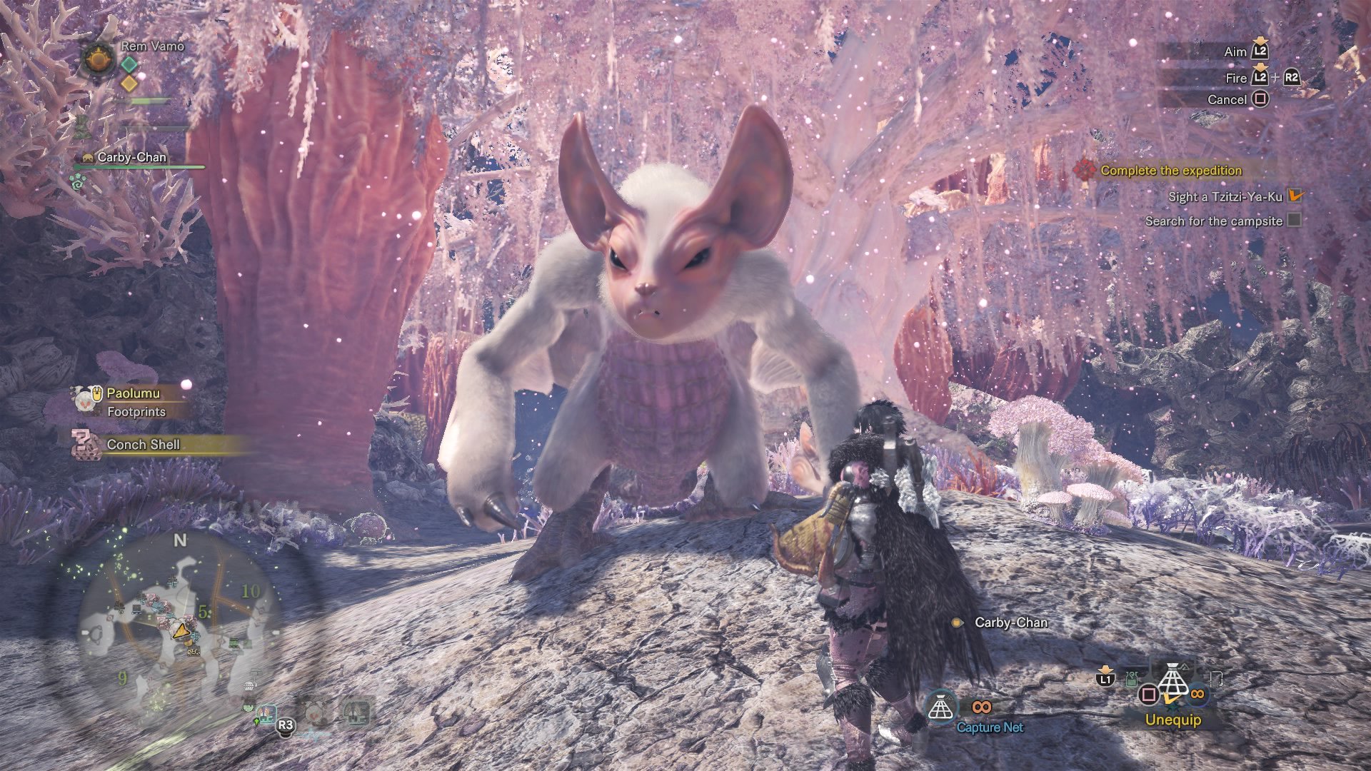 Mao Chan Twitterissa I Love Azure Rathalos And I Like The Paolumu They Are Super Cute Mhw Mhworld Monsterhunter Monsterhunterworld Gaming T Co Ydgwhzzujc Twitter