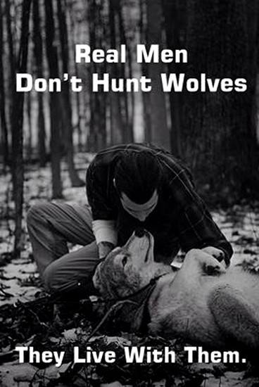 JjackX14's tweet photo. Retweeted Jayne Bishop (@JaynePGB):

@TenzinJjack #StandForWolves
#StopWolfHunts https://t.co/beelOprUCO https://t.co/DZG3K5AYgj