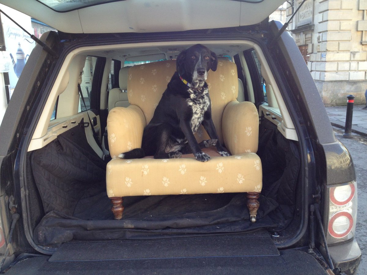 LeatherChairsUK's tweet photo. New stock arriving in York St yesterday
#getdogsonfurniture #backseatdriver #romanbathsbath #howardchair #leather2be https://t.co/E3bpoXDBgw
