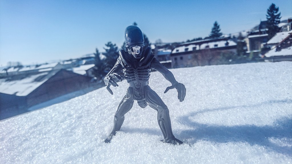 YVellaud's tweet image. Lui non plus il se plaint pas d'la neige... 🖖👽