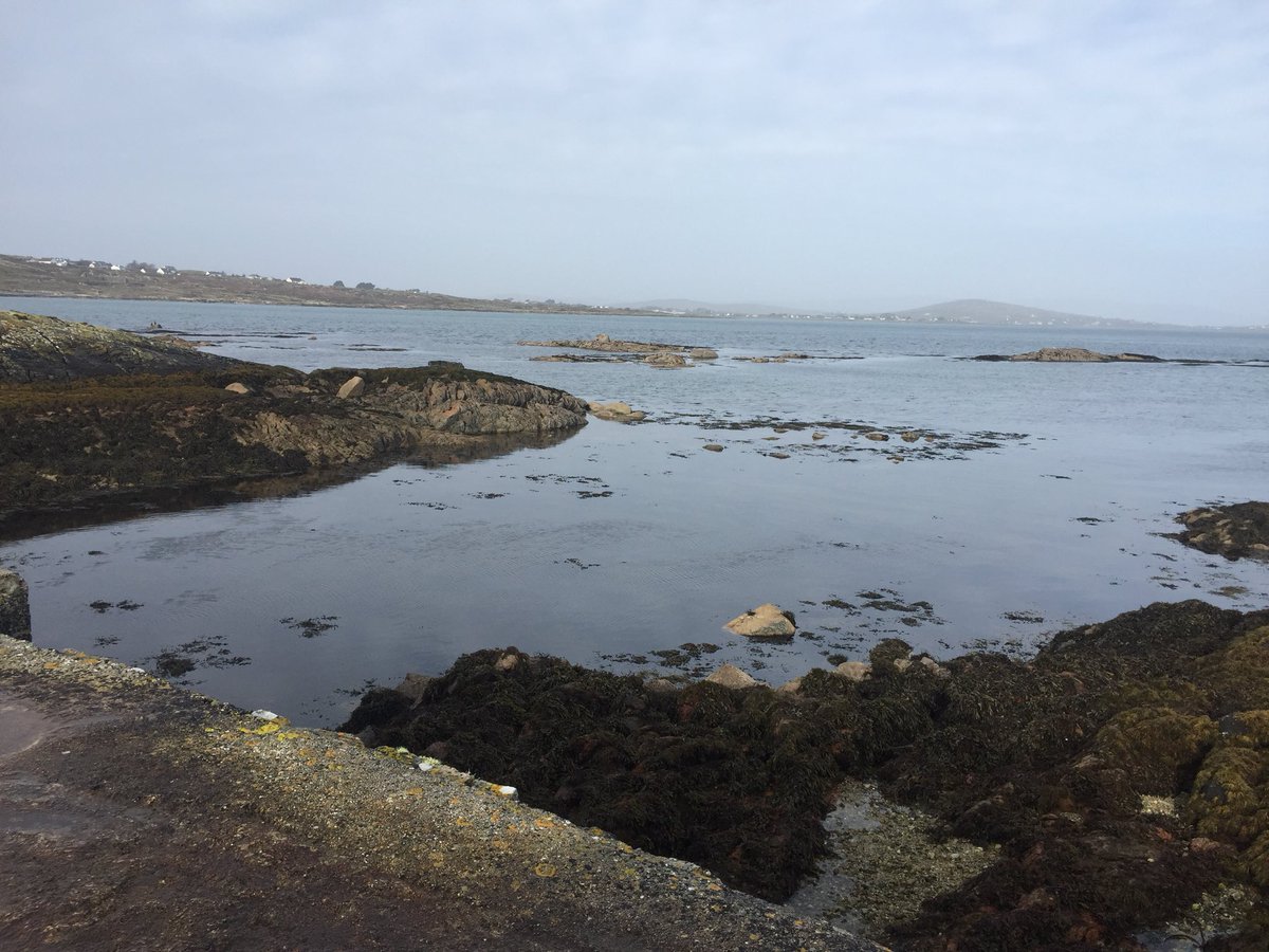 Anmaidin ag céibh an dóilín. Beautiful morning in Carraroe #waw #connemara #beoirchonamara #galway