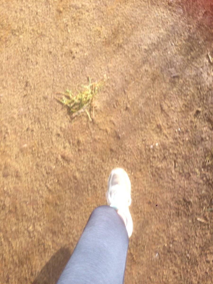 #Blickling #Parkrun this morning the sun was bright, the views were stunning although a tad icy but what a way to start my weekend. 🙏😀