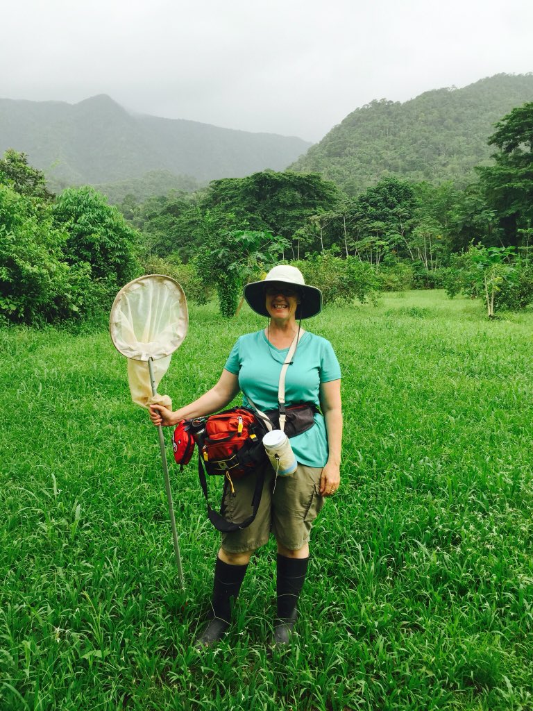 fran_keller's tweet photo. @DocHPJones @naomikohbelic #femfieldscientists Collecting insects in Belize. After 3 weeks my pants needed to be washed, so I wore shorts in the field. When you only bring 2 pairs of pants for a month, the crew tells you when you need to wash your pants. #ilovefieldwork https://t.co/CoY5b8veHY