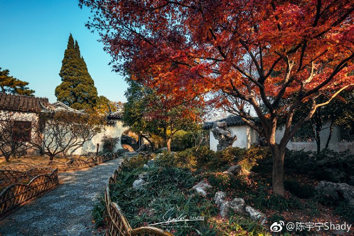 jornalistavitor's tweet photo. Photos capture the amazing sunset moment at the Couple's Retreat Garden in #Suzhou https://t.co/DYAQjapMwY #jornalistavitor