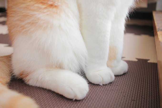 うなぎ うなちゃん Una1535 18年02月 Page 2 Twilog