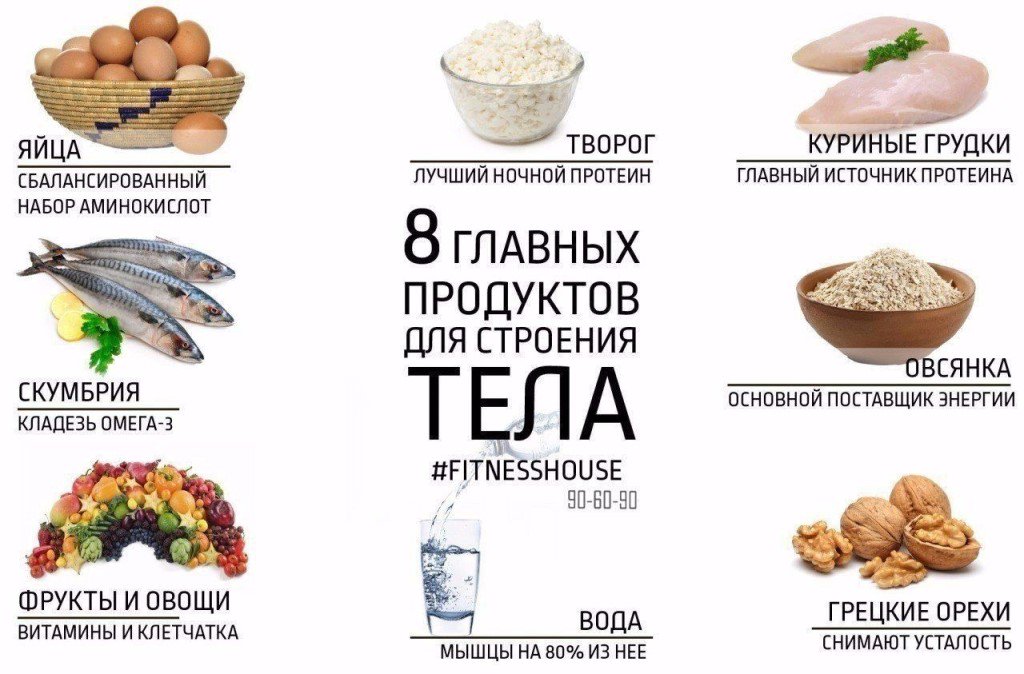 Белковая Диета Какие Продукты Нужно Есть.