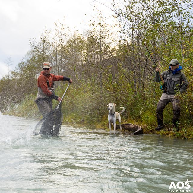 aosfishing's tweet photo. Focus on the fish! 🐟 🐟 🐟 fly fishing for #steelhead in BC .... #friends @skeenaspeyfishing #flyfishingmakesyouhappy #aosfishing #salmon #finatical #flyfishing #fliegenfischen #pescamosca #fluefiskeri #perhokalastus #vliegvissen #pescaconmosca #pechem… https://t.co/rxrV5PooH4 https://t.co/tFVvSyFlNv