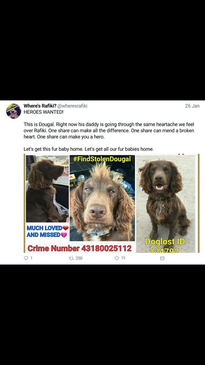 PaulaJohnston3's tweet photo. #FindStolenDougal
Please share x https://t.co/Gt0OpmeHup