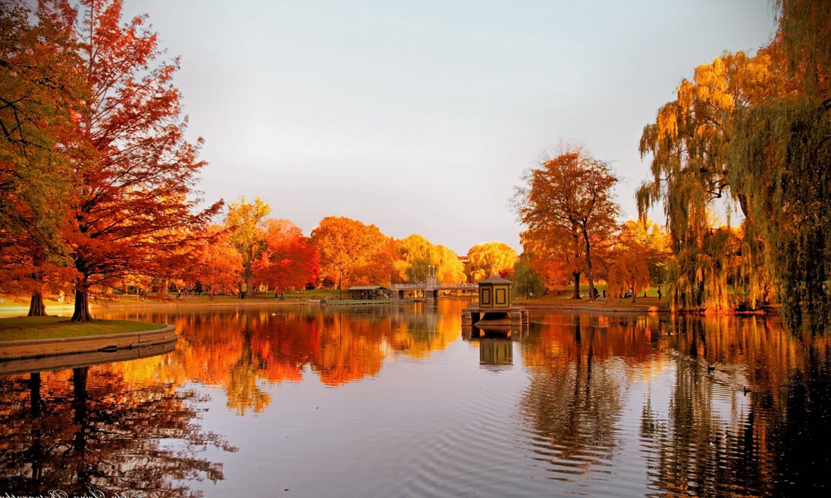 gezipgor tweet picture