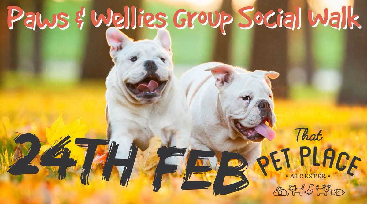 ThatPetPlaceUK's tweet photo. Our next Group Social Walk is taking place on Saturday 24th February. To find out more info and book your space visit https://t.co/2pHyrzbFLr #groupsocial #dogwalk #walking @WarksTN @visitalcester #alcester #warwickshire @moreWarwick @VisitStratford https://t.co/lA3mPMWsRt