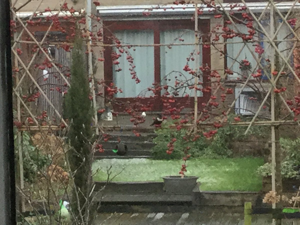 Marcel Ros tweet media