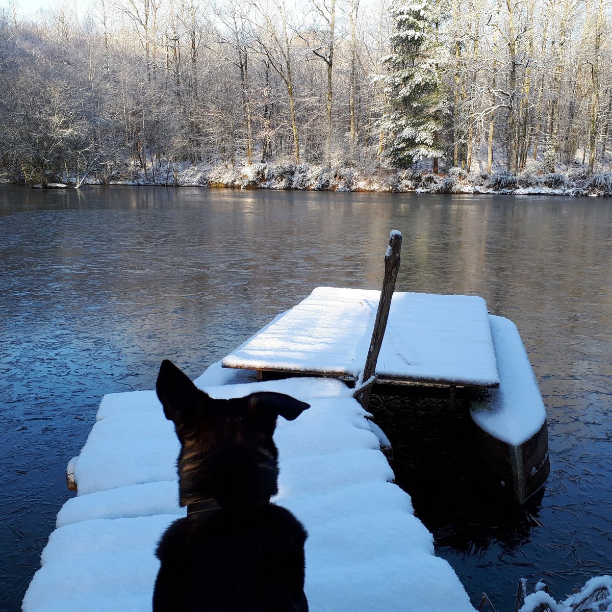 covertcabin's tweet image. Vida is disappointed that he can't go rafting today...#snowedoff