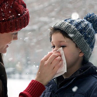 ilovesgarden's tweet photo. Cold problem for winter https://t.co/jmc7R23rU9 https://t.co/EMwR5NCCAo