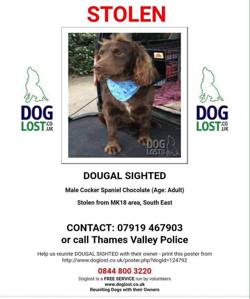 Miguelwhiteley's tweet photo. #FindStolenDougal get Dougal back to Martyn @Catstycam @paul_steele @maxinthelakes @alanhinkes @terrybnd gutted reading Martyn's comments https://t.co/lVRFDU5sqa