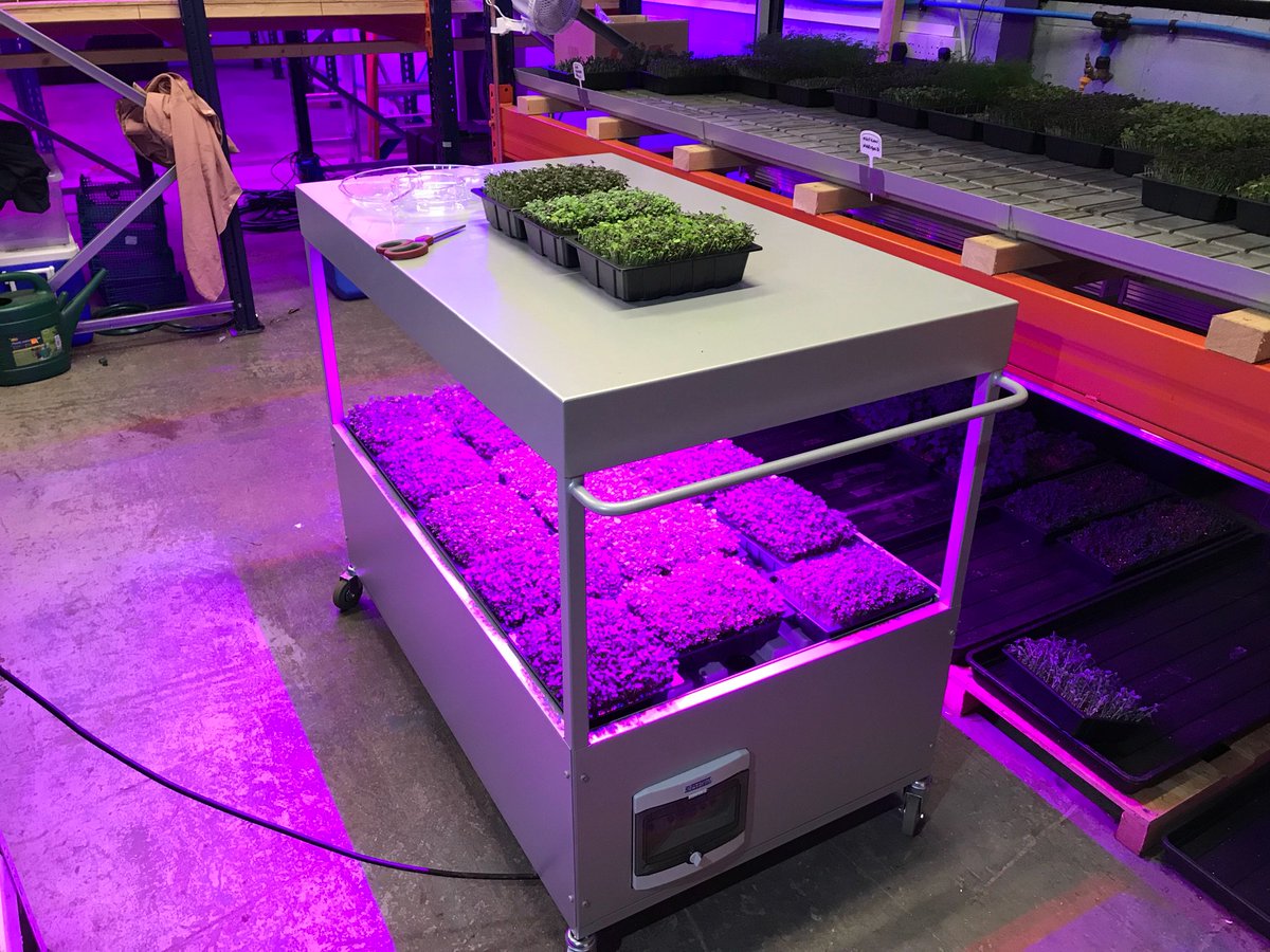 Ken Holland tweet media