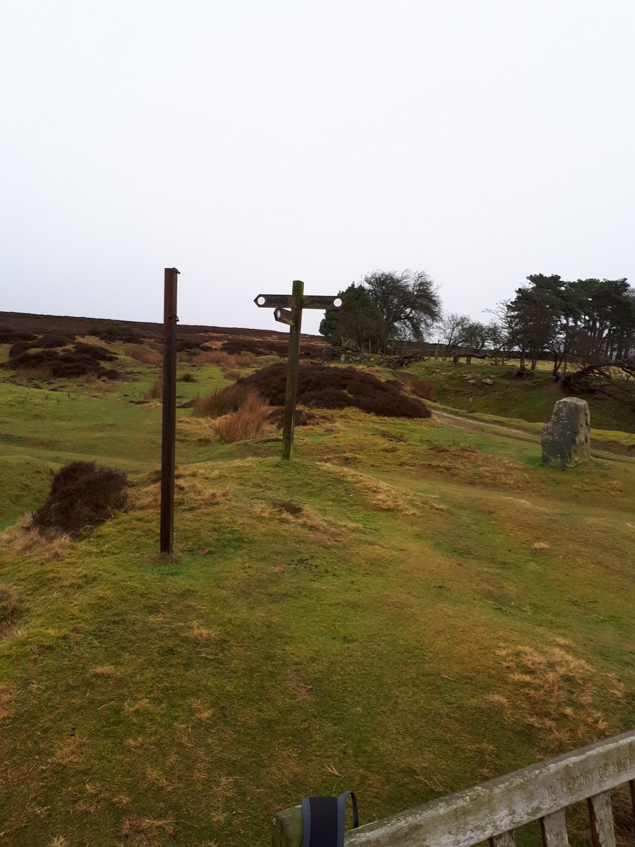 karenTime2's tweet photo. Some photos from yesterday's trial walk ready for 17.03.18 charity walk @NatWorGroup @BasisYorkshire @YorkLSCB @NYSCB https://t.co/aQmcYR6BzF
