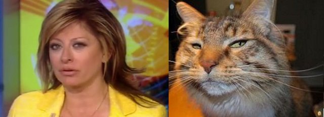 (53) Are you starting to see what I mean? There is SO MUCH FAKE on not just CARTER PAGE, but ALL of this FISA warrant "let's spy on Trump" stuff, that TRUMP BOOMERANGS don't know what to hit - and SUSPICIOUS CAT, who normally looks like THIS version of  @MariaBartiromo.....