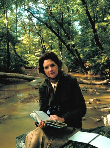 practicaskultur's tweet photo. Fin de semana para dejarse llevar por los campos verdes, repletos de vida. Esto mismo sentía Rachel Carson y su "sentido del asombro" por la naturaleza. 
https://t.co/ZvzkwlxWYL https://t.co/epoWXubPGY