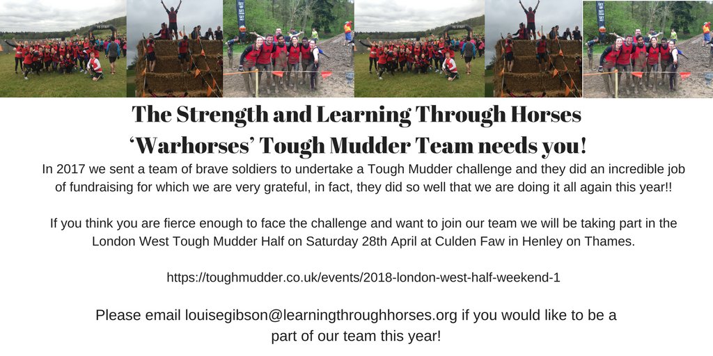 Strength and Learning Through Horses (@sandlth) on Twitter photo WANTED! Team members for Strength and Learning Through Horses' #teamwarhorses to take on <a href="/ToughMudder/">Tough Mudder</a> to help us raise funds to enable us to carry out our unique equine therapy and educations services.
#charity #toughmudder #challengeyourself WANTED! Team members for Strength and Learning Through Horses' #teamwarhorses to take on <a href="/ToughMudder/">Tough Mudder</a> to help us raise funds to enable us to carry out our unique equine therapy and educations services.
#charity #toughmudder #challengeyourself