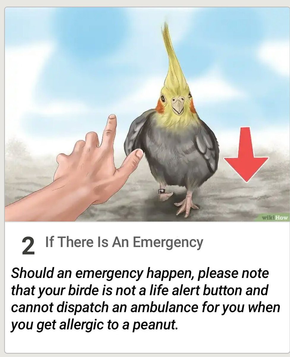 BirdsThoCo tweet picture