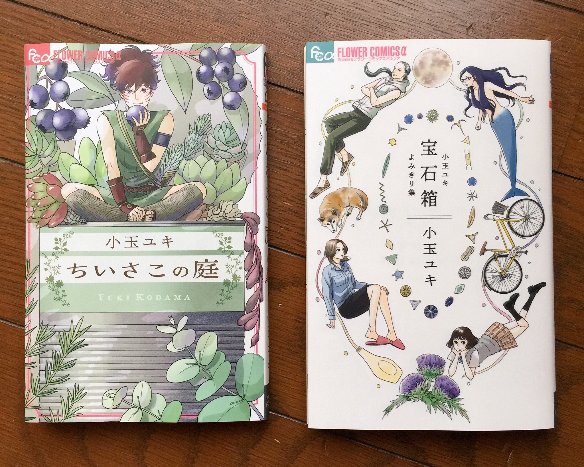 Akihito Sakoda 虹田あき V Twitter 小玉ユキさんの新刊 ちいさこの庭 1話完結のお話しはどれもスッと胸に届く優しさを感じます 一冊にまとまると劇中絵本の印象がより深まりますね ちいさこシリーズ読んでみたい よみきり集の 宝石箱 も同時発売 どちらも