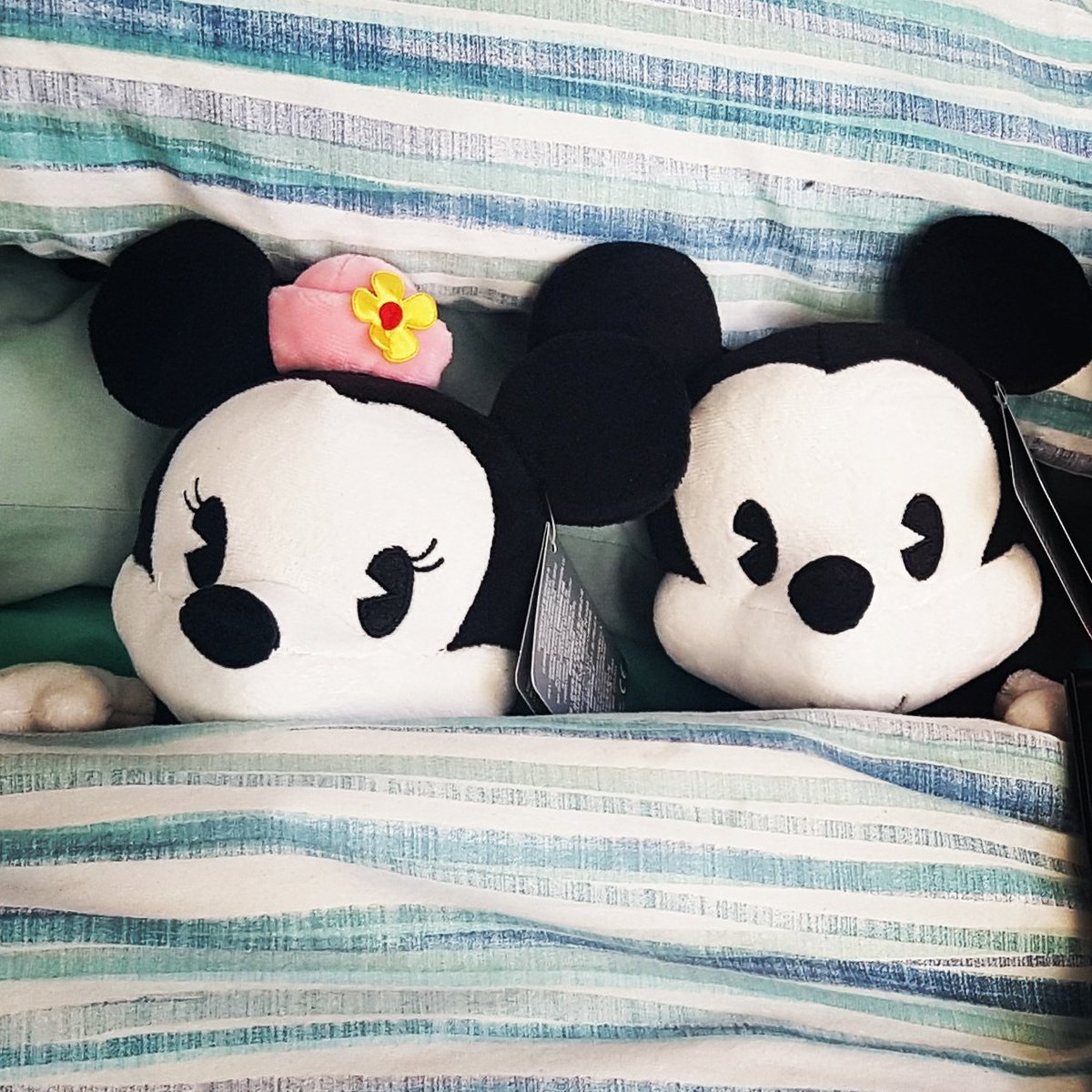 MrsMinnieDisney's tweet photo. Love these wee cuties #mickeymouse #minniemouse #cutie #mickey #minnie #disney #disneystoreuk https://t.co/08iou7xHSM