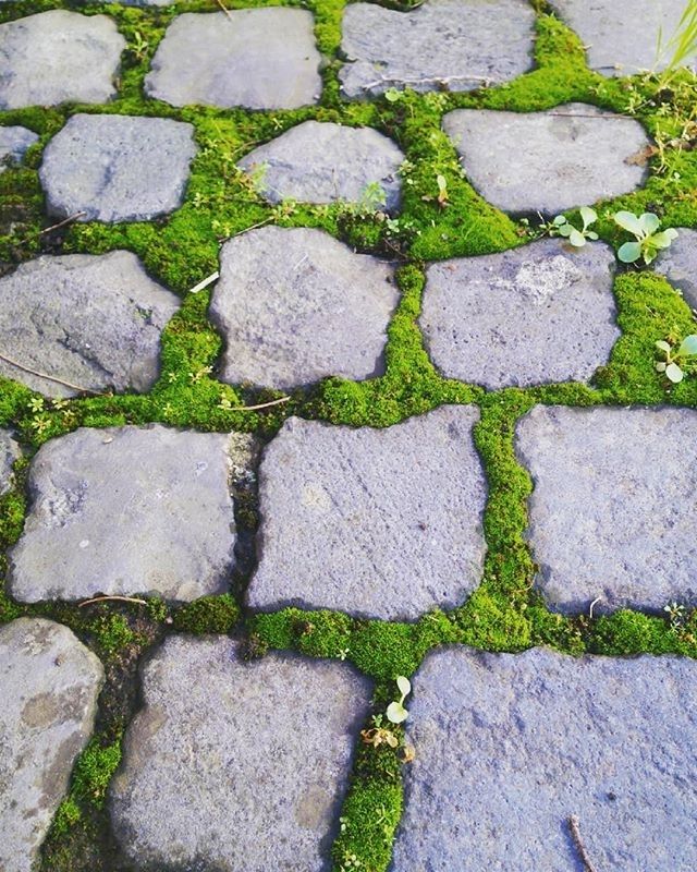 sampietrino's tweet image. &quot;Roma é un grande museo, un salotto da attraversare in punta di piedi.&quot; | ph @ema.9san #rome #sanpietrini #romearchitecture #architecture #history #sampietrini buff.ly/2smIvRW