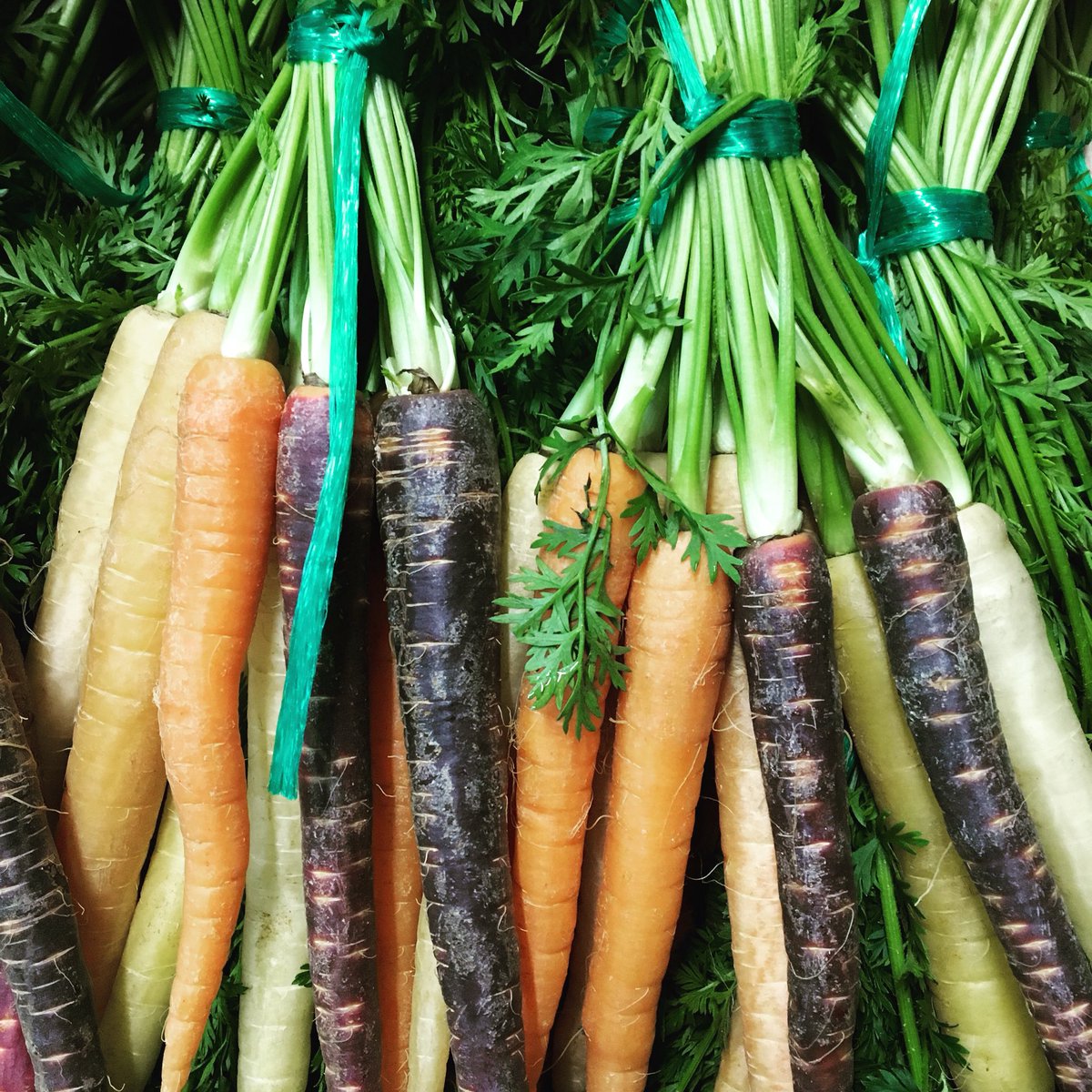 Rainbow Carrots on a rainy day...