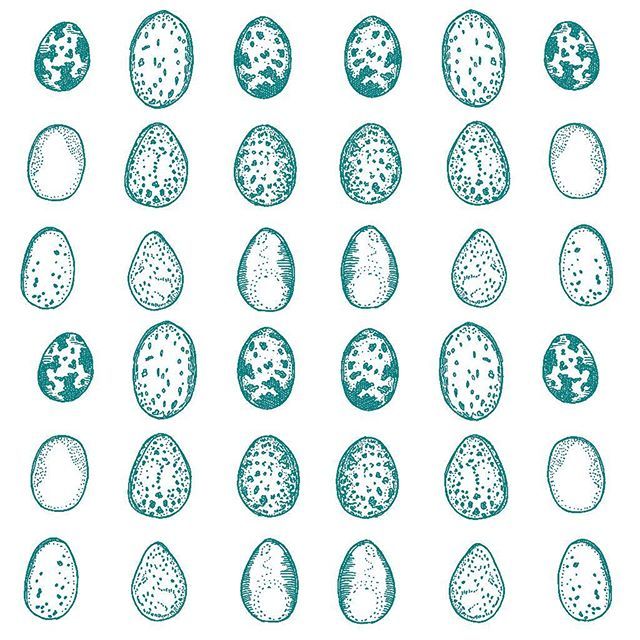 rosehendry's tweet photo. My favourite colour of bird egg. Need to start making some new designs featuring eggs-they‘re so pretty 🐣
.
#birdegg #birdeggs #birdstagram #birdbabies #patternsandtextures #surfacepatterndesign #surfacepatterndesigner #theartofslowliving #newartidea… https://t.co/ZFcjJPUcbB https://t.co/oGD0w5n8sf
