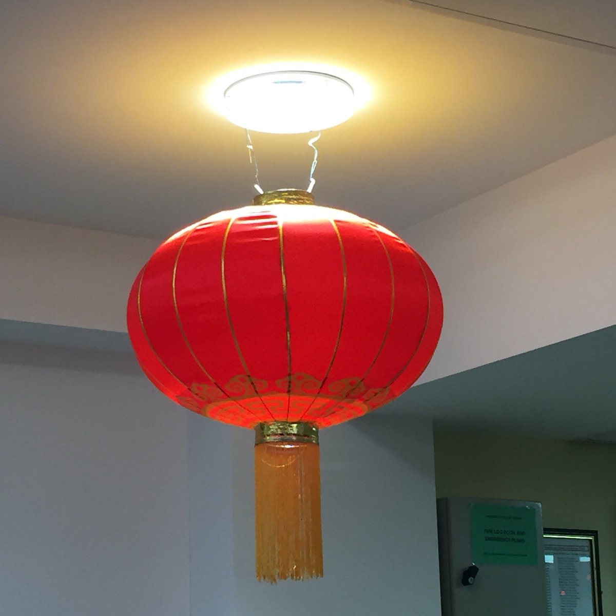 CatInLanguages's tweet image. #mlangvisitday in full swing! Welcoming lots of very talented budding linguists in @cardiffmlang today, surrounded by Chinese New Year decorations!