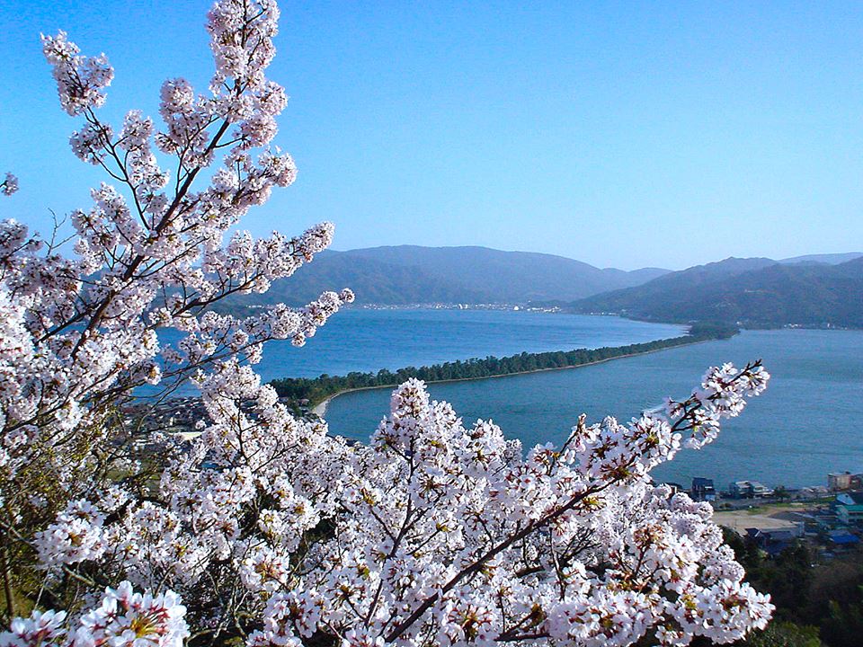 Voyapon_es's tweet photo. El panorama de #Amanohashidate, con sus montañas, acantilados, sus más de 8000 pinos y largas playas, es considerado uno de los paisajes tres más bellos de #Japón.
#NihonSankei #Turismo #Kioto https://t.co/iFPLtk9jnG
