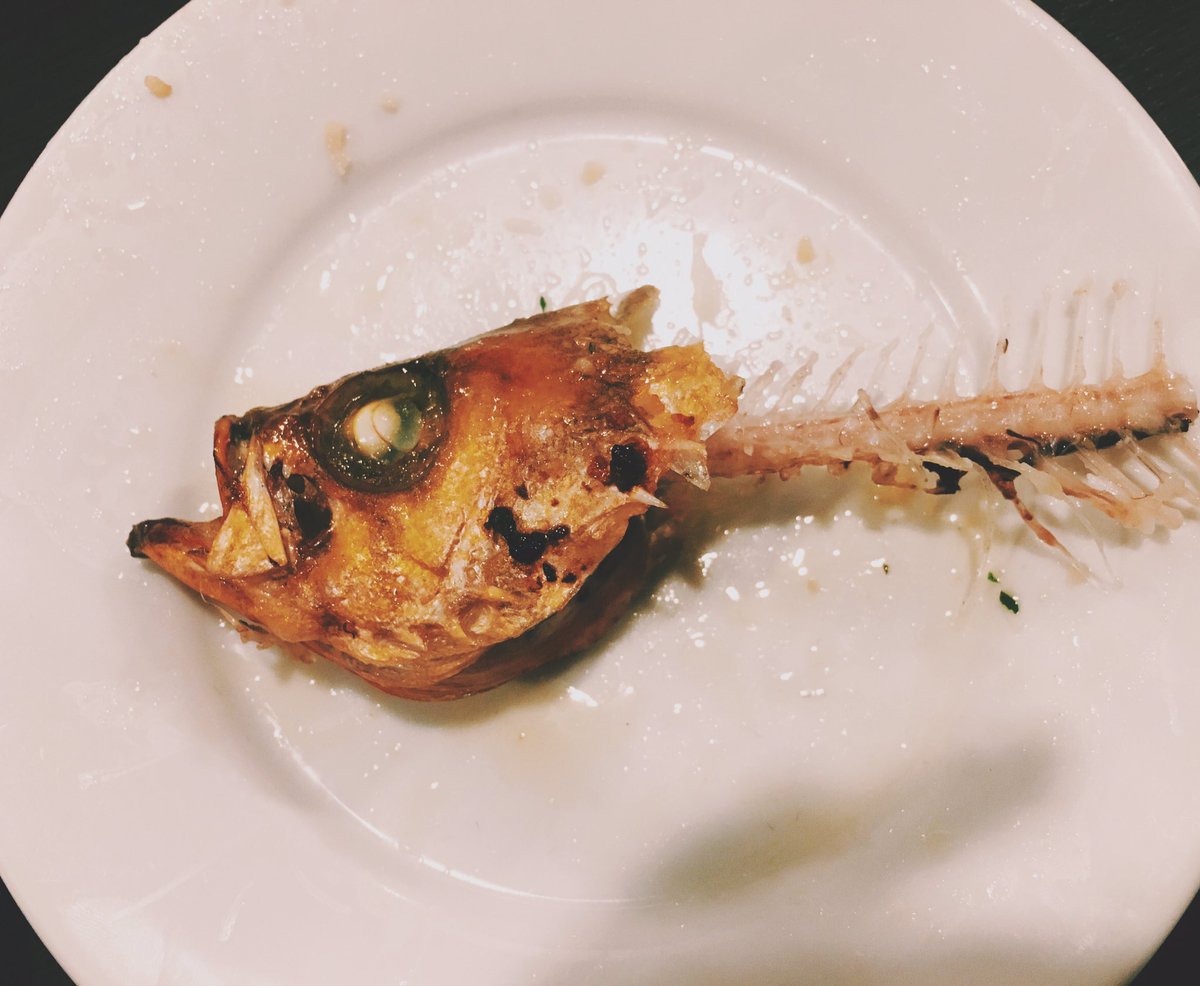 𝙣𝙖𝙢𝙞𝙞𝙞𝙞 魚の目玉を食べると 頭が良くなるとか言いますが 本当でしょうか なんで食べるの 𝙣𝙖𝙢𝙞𝙞𝙞𝙞 魚の目玉を食べると 頭が良くなるとか言いますが 本当でしょうか なんで食べるの