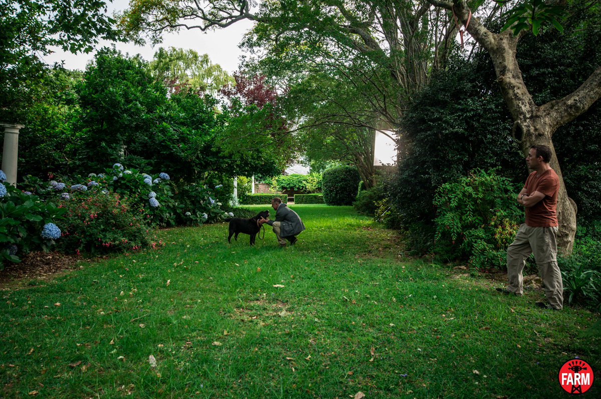 Our gaffer Wayde, lighting this beautiful garden. #BehindtheScenes of our <a href="/Purina/">Purina</a> commercial. Shot with <a href="/rsafilms/">RSA Films</a> and @mccannlondon Directed by Stuart Rideout.