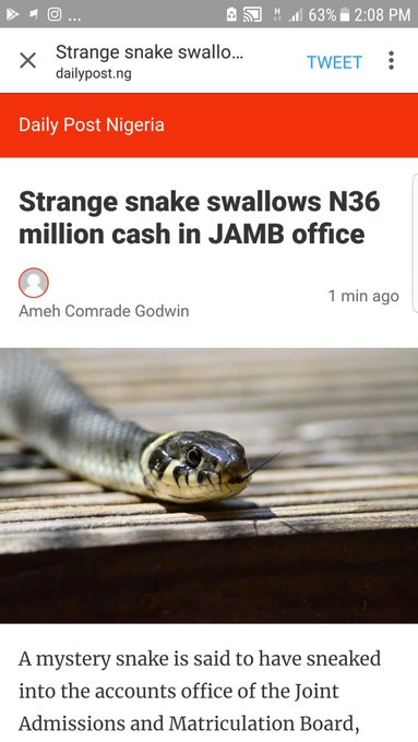 View image on Twitter