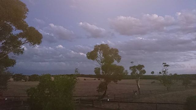 sureformsandbc's tweet image. Having dinner with @denise_isaac on the deck look out at this. #victoria#australia #gooutside