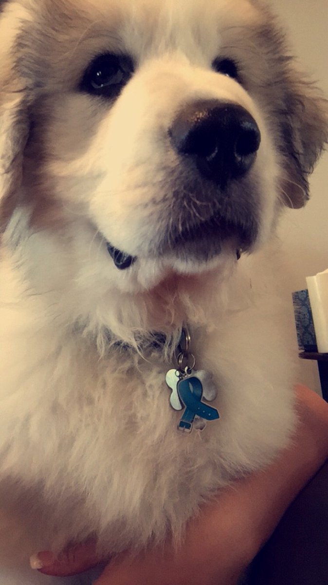 _klerch's tweet image. Baby thor 😍😭