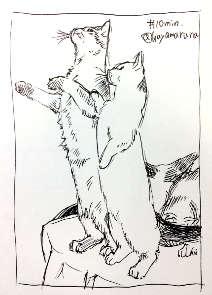 #毎日1点かんたん10分スケッチ
伸びる猫 