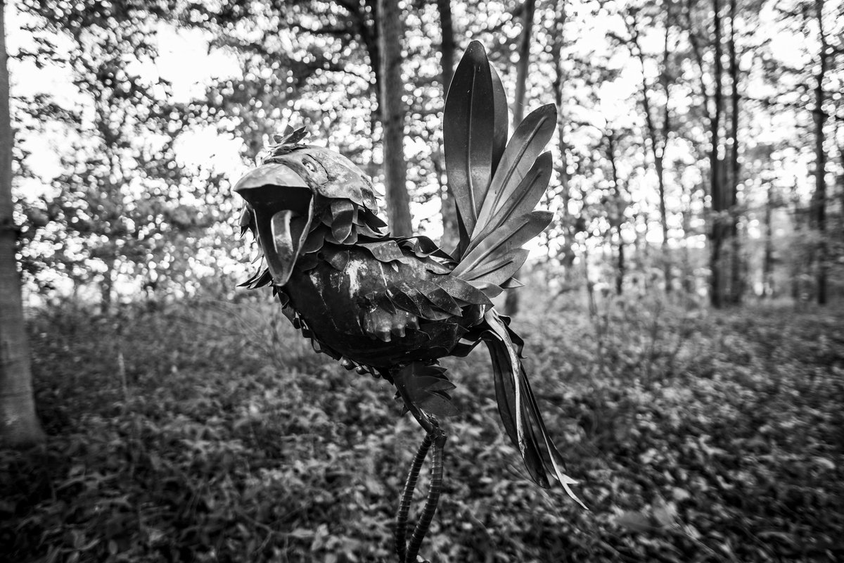 westendgirl5's tweet photo. @no19richmond Bats by @GraculusSculpt .....I love his work👍👍😉 https://t.co/TPKDyX5abA