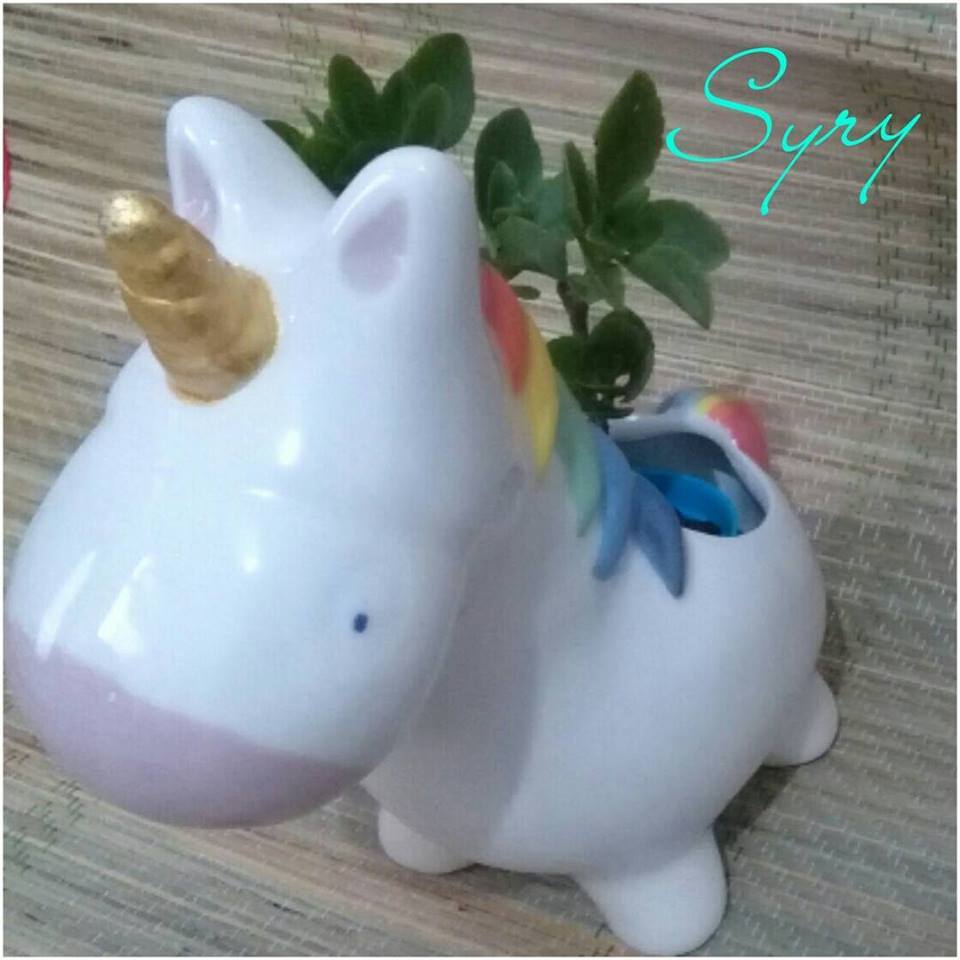 Syrydeco tweet picture