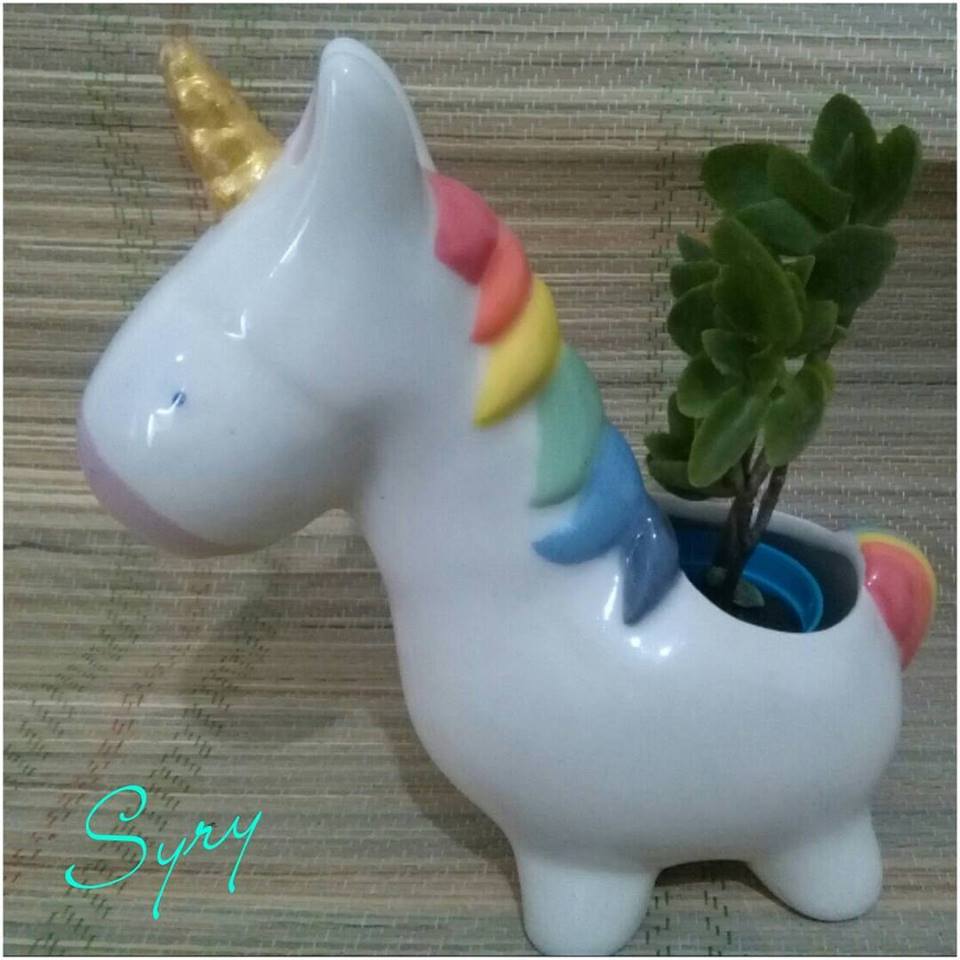 Syrydeco tweet picture