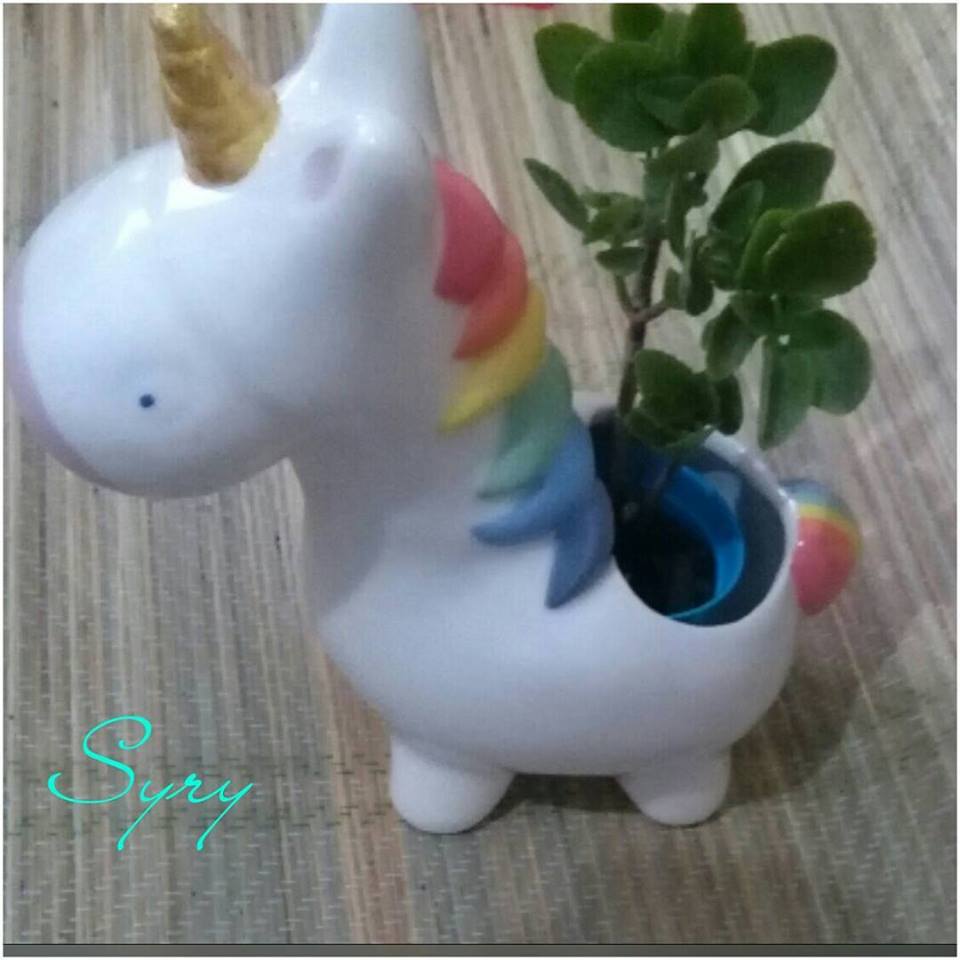 Syrydeco tweet picture